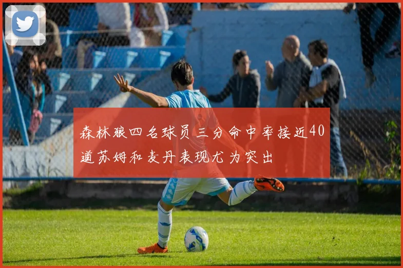 森林狼四名球员三分命中率接近40道苏姆和麦丹表现尤为突出
