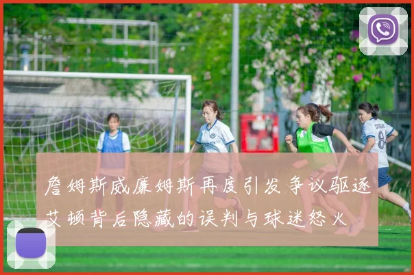 詹姆斯威廉姆斯再度引发争议驱逐艾顿背后隐藏的误判与球迷怒火